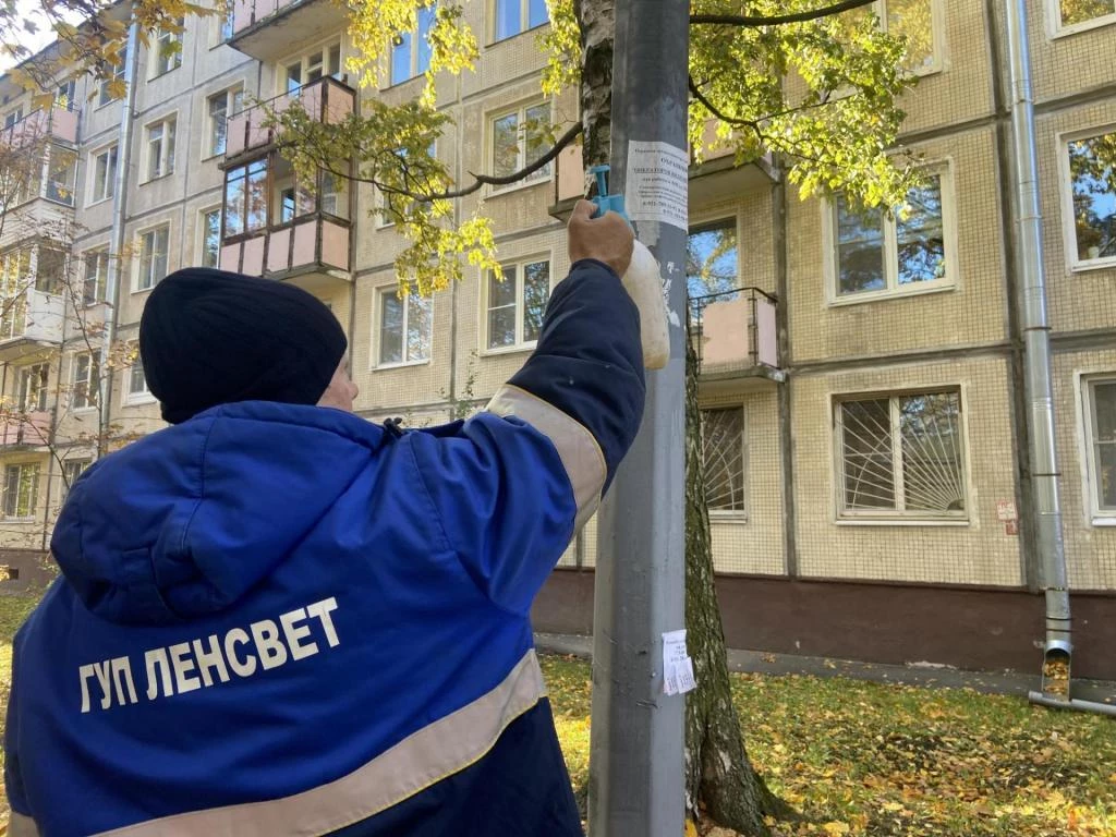 Более 8 тысяч фонарных столбов очистят от объявлений и граффити в Петербурге - tvspb.ru