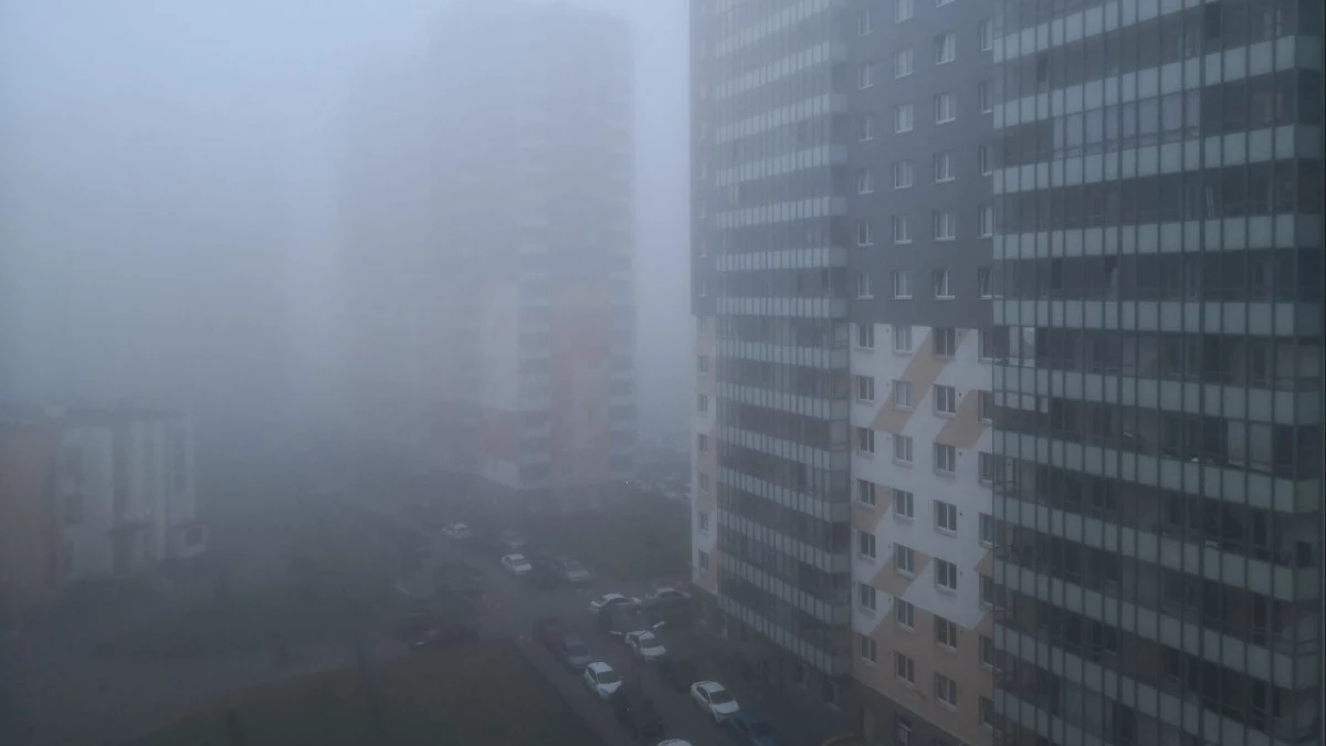 Воскресное утро в Петербурге началось с плотного тумана - tvspb.ru