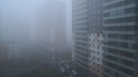 Воскресное утро в Петербурге началось с плотного тумана