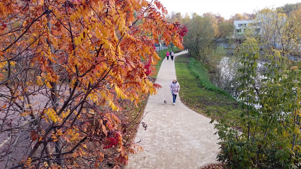 Петербуржцы до 25 ноября смогут предложить варианты благоустройства парков, дорог и зон отдыха - tvspb.ru