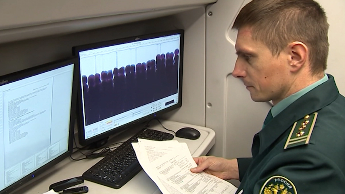 Уголовные дела и штрафы: На 8% больше нарушителей поймали за год петербургские таможенники - tvspb.ru