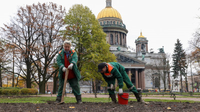В Александровском саду посадили 11 тысяч тюльпанов