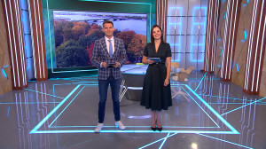 Утро в Петербурге 31 октября