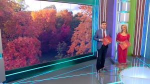 Утро в Петербурге 4 октября