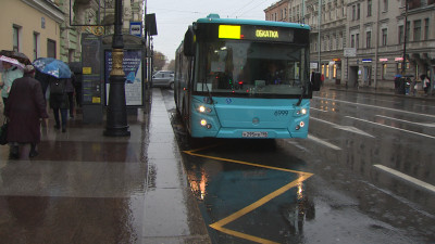 Петербуржцам показали работу автобусов на время ремонта «Чернышевской»