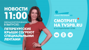Новости Петербурга к 11:00