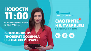 Новости Петербурга к 11:00