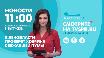 Новости Петербурга к 11:00