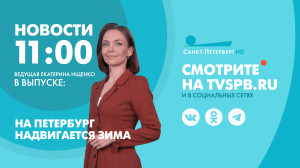 Новости Петербурга к 11:00
