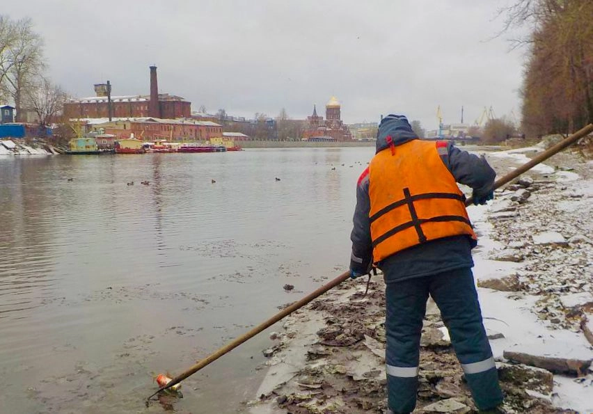 Более 6 тонн опасных отходов собрали за неделю петербургские экослужбы - tvspb.ru