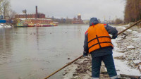 Более 6 тонн опасных отходов собрали за неделю петербургские экослужбы
