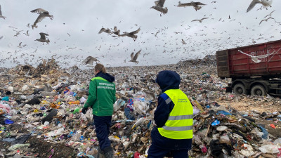 Росприроднадзор начал внеплановую проверку мусорного полигона «Новый Свет-Эко» под Петербургом