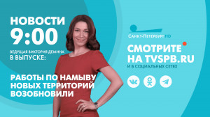Новости Петербурга к 9:00