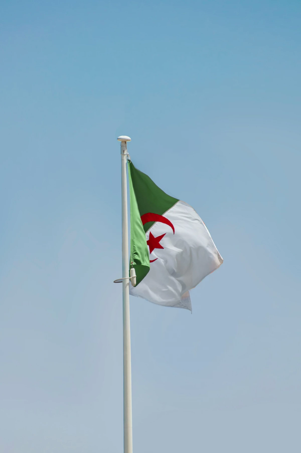 Алжир подал  официальную заявку на вступление в БРИКС - tvspb.ru