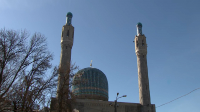 Эксперты из 15 стран приедут в Петербург на конференцию о духовном наследии Ислама в России