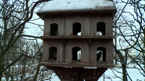 300 килограммов семечек  — на всех: в Царском селе готовы подкормить птичек зимой