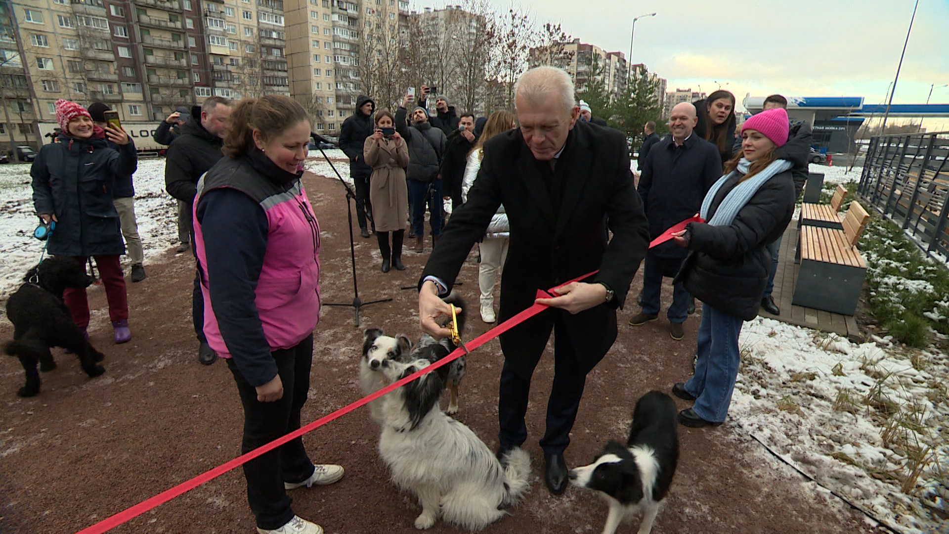 На Карпатской улице открылась современная площадка для выгула собак |  Телеканал Санкт-Петербург