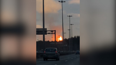 К тушению возгорания под Всеволожском привлекли пожарный поезд и гусеничную технику