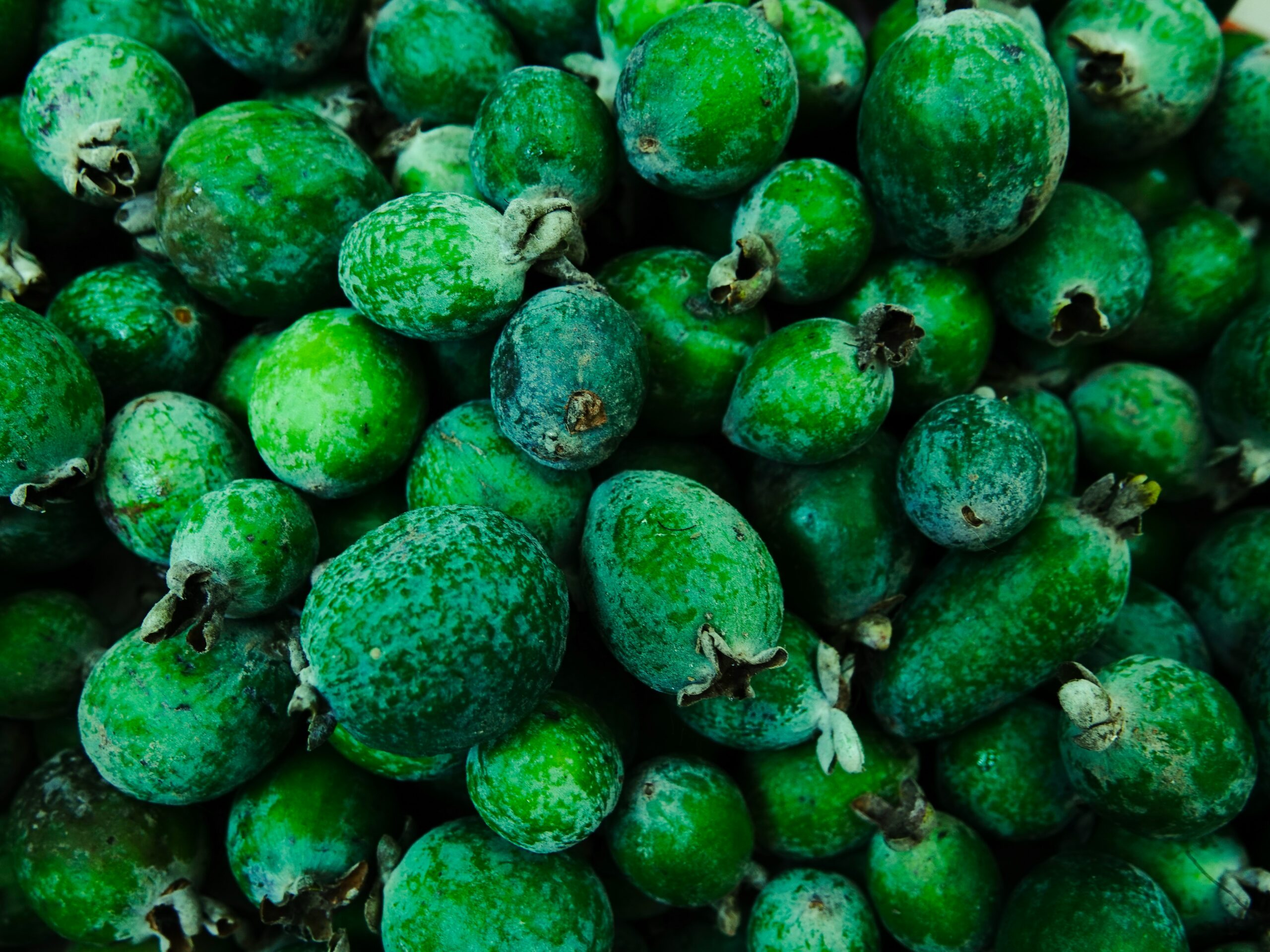 Фото зеленых фруктов. Ягода фейхоа. Фейхоа цитрус. Зелёная ягода фейхоа. Маленький зеленый фрукт фейхоа.