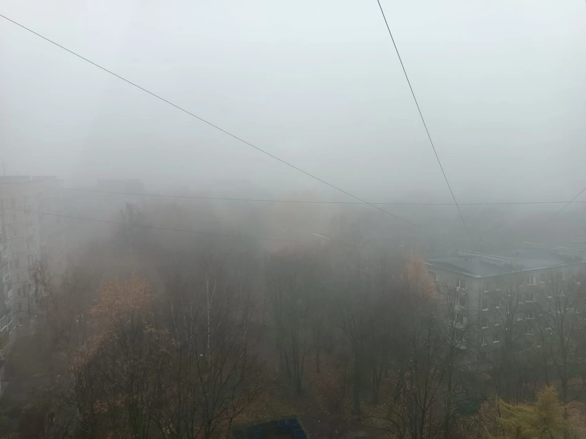 На Петербург опустился плотный туман - tvspb.ru