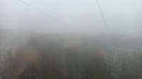 Петербург окутает плотный туман в первой половине дня