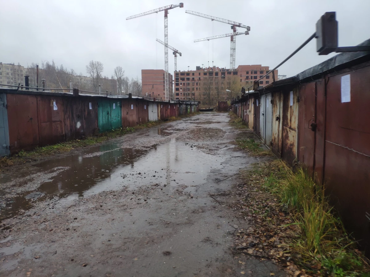В Калининском районе стартовала подготовка территории под строительство новой школы - tvspb.ru