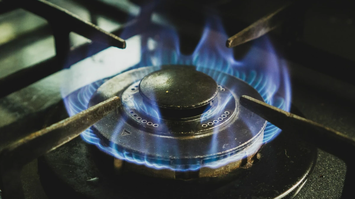 Газ вернули почти во все квартиры и дома Всеволожского района - tvspb.ru
