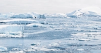 Индия и Россия обсуждают совместный проект в Арктике