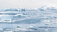 Индия и Россия обсуждают совместный проект в Арктике