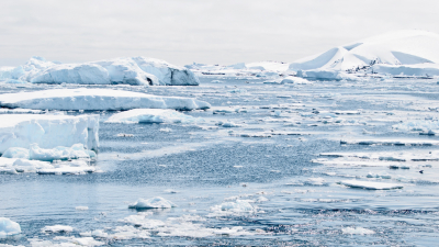 Программы развития Арктики обсудили на Петербургском форуме межрегиональной кооперации и партнёрства
