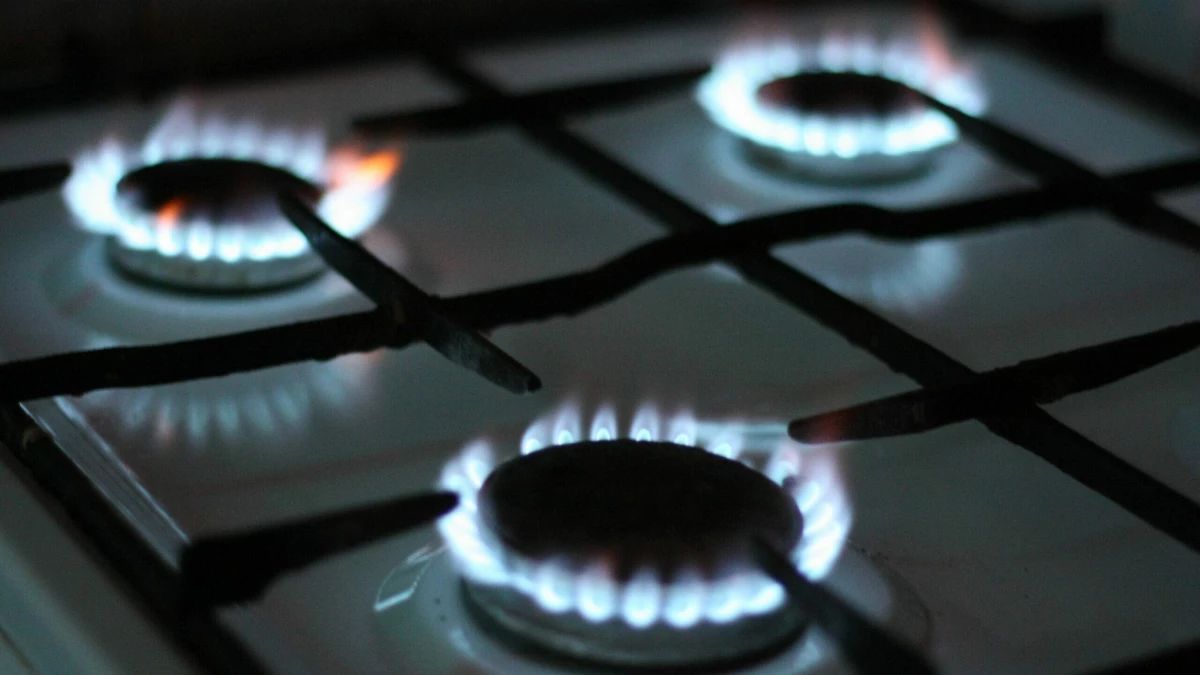Во Всеволожском районе восстановили газоснабжение 91% потребителей - tvspb.ru