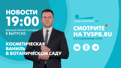 Новости Петербурга к 19:00
