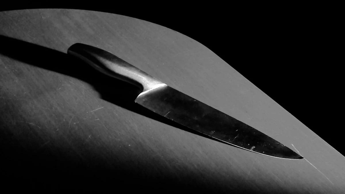 Петербурженка, зарезавшая свою бабушку, отправится на принудительное лечение - tvspb.ru