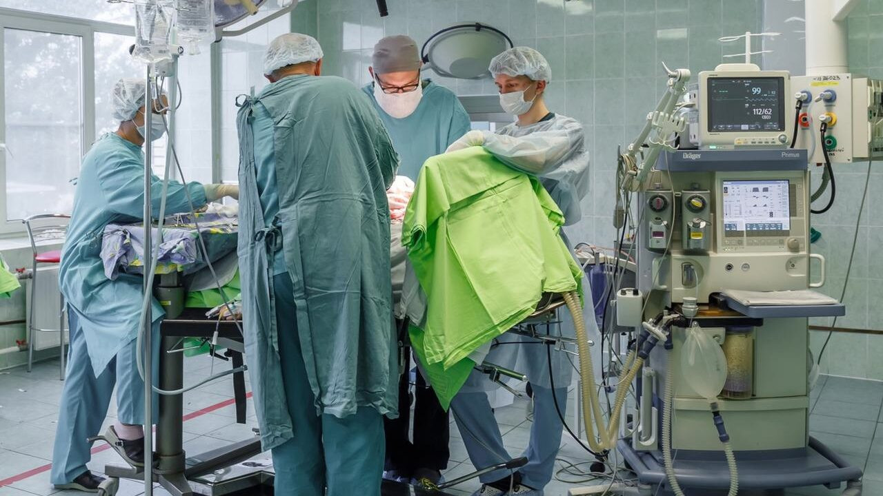 В Петербурге с начала года сделали 137 операций по пересадке органов