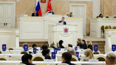 Петербургские депутаты предложили ужесточить контроль за психбольными