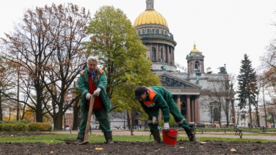В Петербурге в этом году высадили более 10 тысяч деревьев