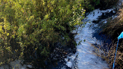 Росприроднадзор выяснил, кто сливает в реку Хейная грязную сточную воду