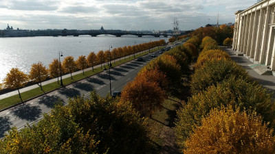 В Петербурге привели в порядок больше трети территорий в рамках осеннего месячника благоустройства