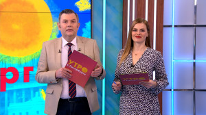 Утро в Петербурге 1 ноября