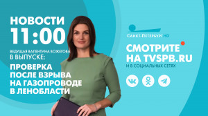 Новости Петербурга к 11:00