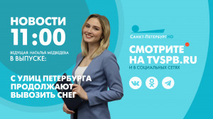 Новости Петербурга к 11:00