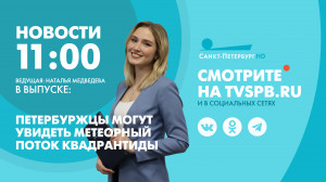 Новости Петербурга к 11:00
