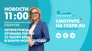 Новости Петербурга к 11:00