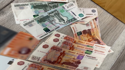 На жительницу Приморского района возбудили уголовные дела за мошенничество