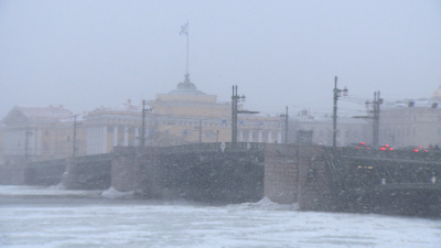 Перед оттепелью Петербург ждут метель и штормовой ветер