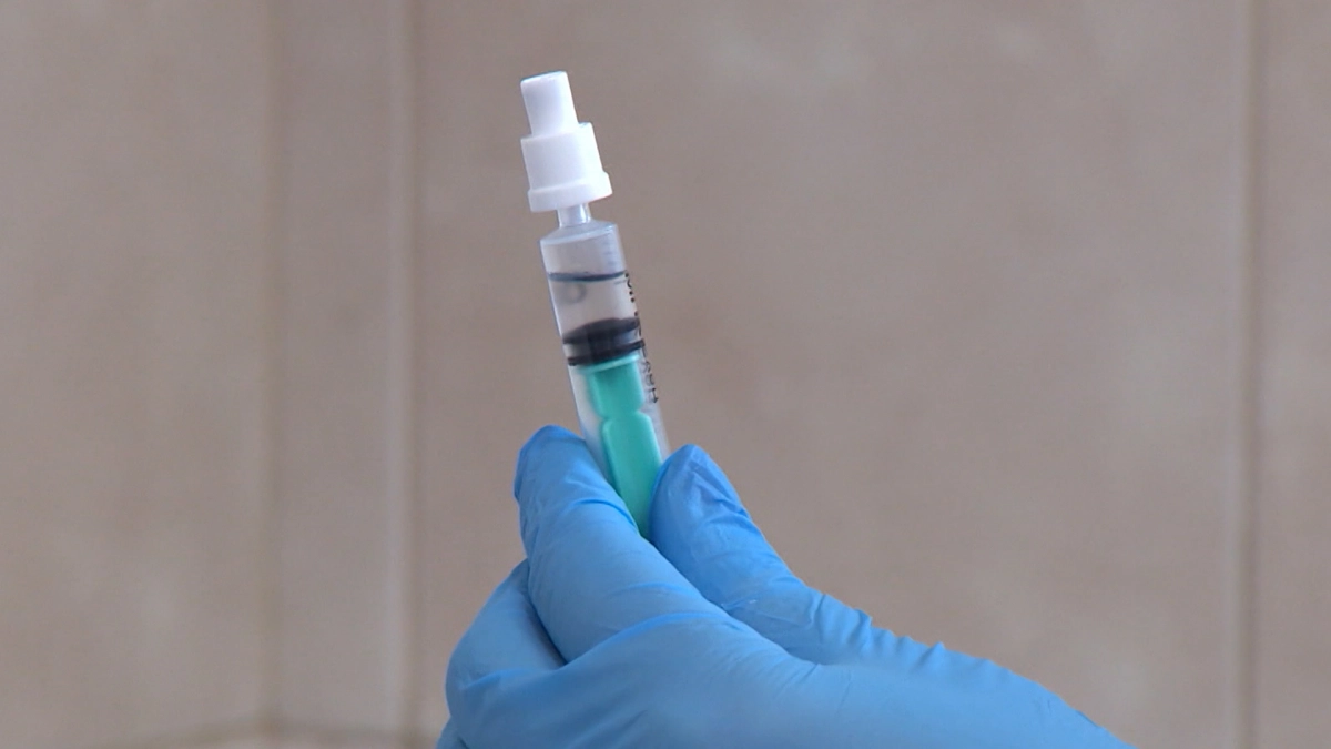 Вирусолог заявил об эффективности российских вакцин против штамма COVID «арктур» - tvspb.ru