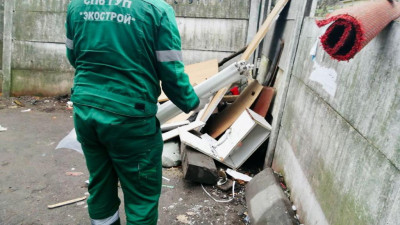 Экологи Петербурга собрали более 4,7 тонны опасных отходов за неделю
