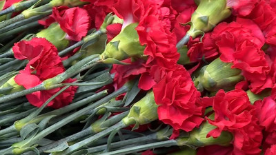 В Красном Селе прошла траурная церемония в память об узниках концлагерей