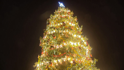 На Дворцовой площади зажглись огни главной новогодней ёлки Петербурга