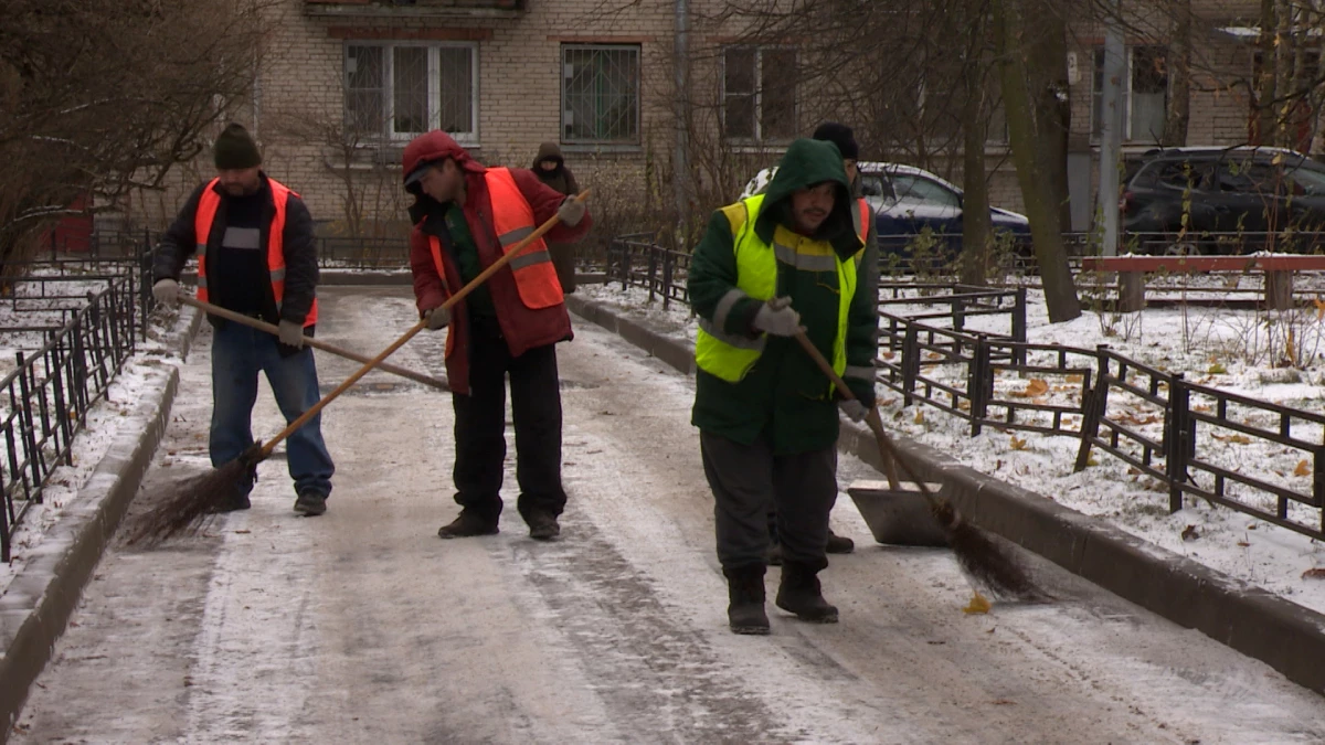 Управляющим организациям поручили следить за уборкой дворов от снега - tvspb.ru
